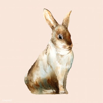 Wild brown rabbit painted by watercolor vecto.. | Free stock vector - 489473