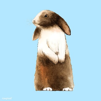 Wild brown rabbit painted by watercolor vecto.. | Free stock vector - 489481