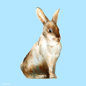 Wild brown rabbit painted by watercolor vecto.. | Free stock vector - 489493