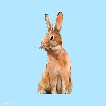 Wild brown rabbit painted by watercolor vecto.. | Free stock vector - 489536