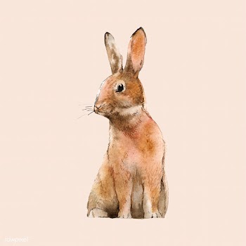 Wild brown rabbit painted by watercolor vecto.. | Free stock vector - 489553