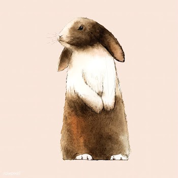 Wild brown rabbit painted by watercolor vecto.. | Free stock vector - 489574