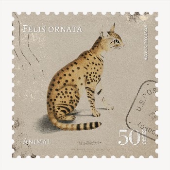 Wild cat postage stamp, ephemera | Free PSD - rawpixel