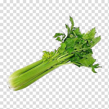Wild celery Organic food Vegetable Salad, vegetable transparent background PNG clipart