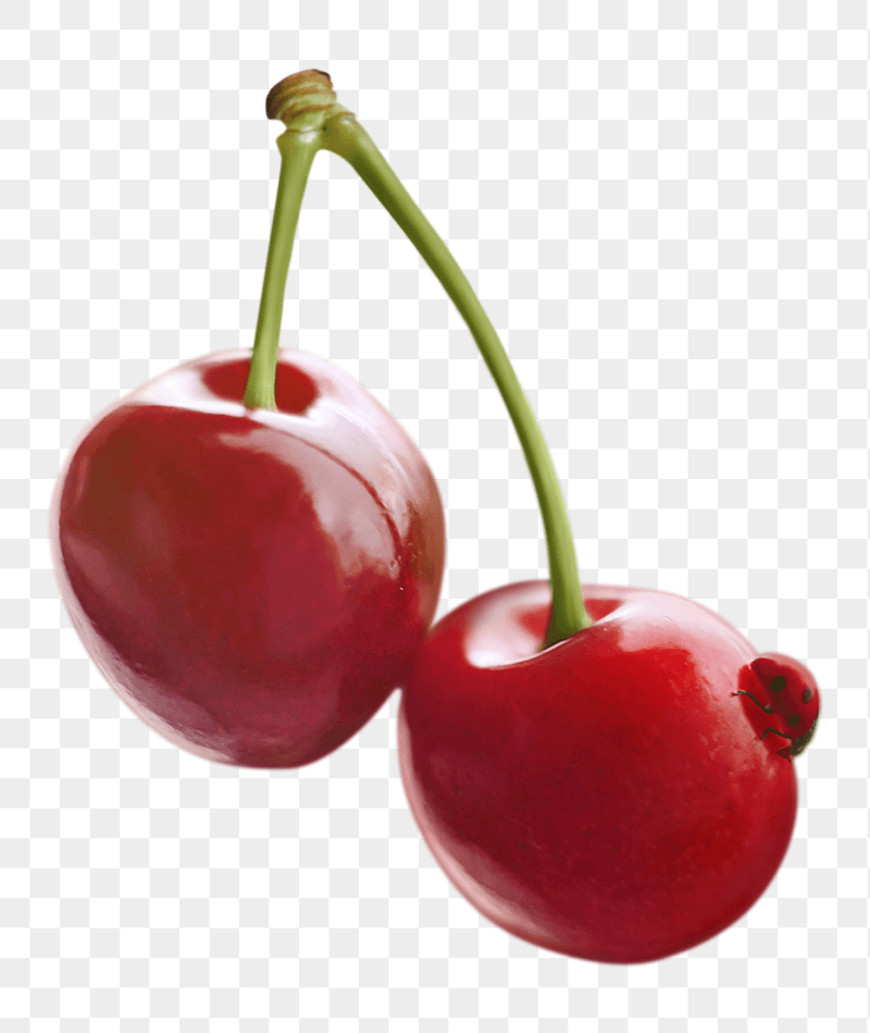 Wild cherry png sticker, transparent | Free PNG - rawpixel