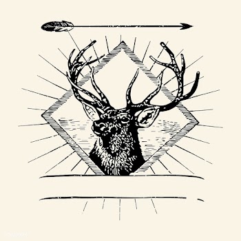 Wild deer logo illustration | Free stock vector - 562953