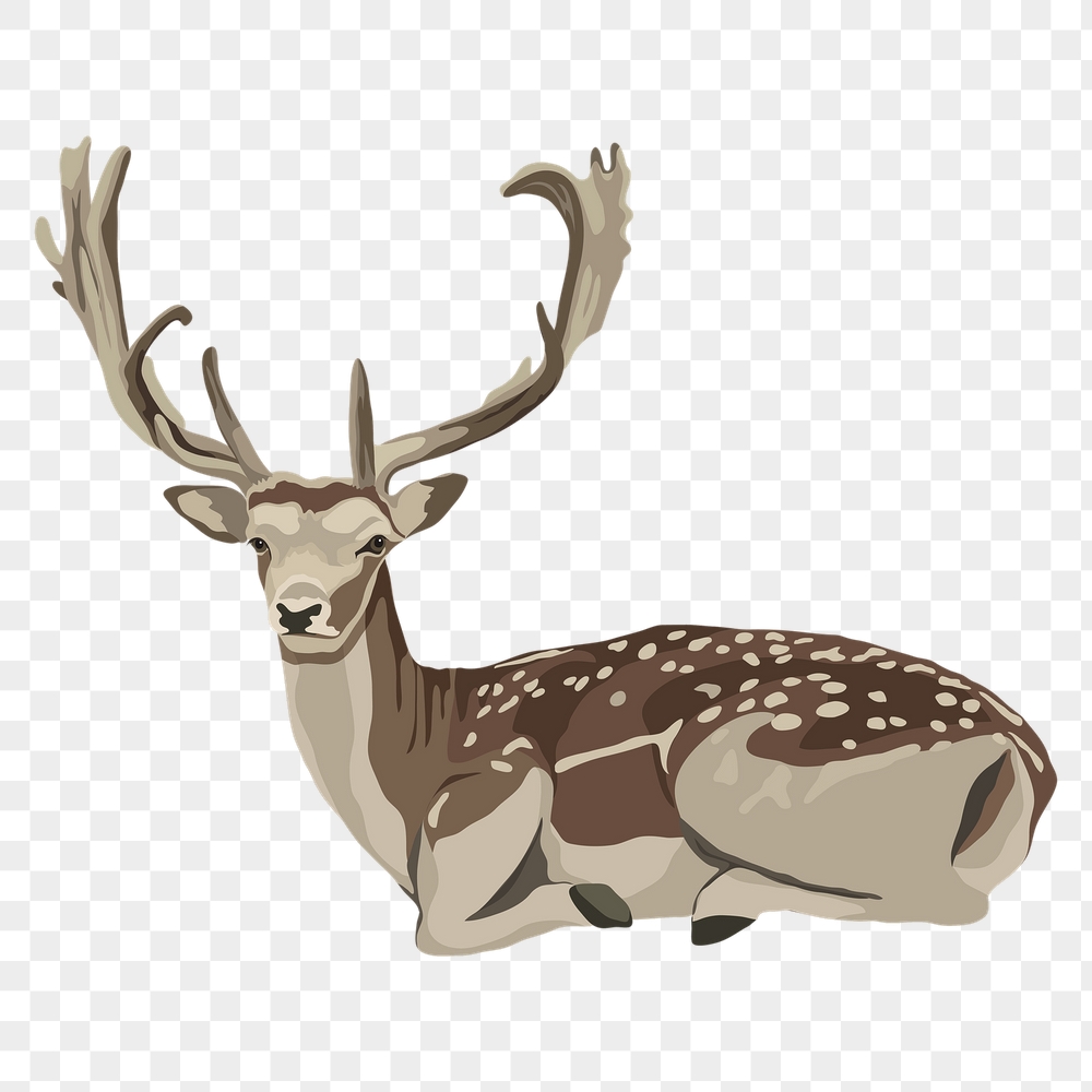 Wild deer png sitting illustration, | Free PNG Illustration - rawpixel