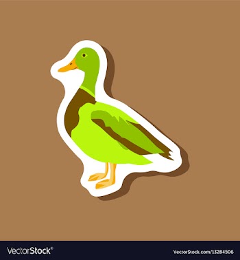 Wild duck paper sticker on stylish background vector image