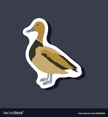 Wild duck paper sticker on stylish background vector image