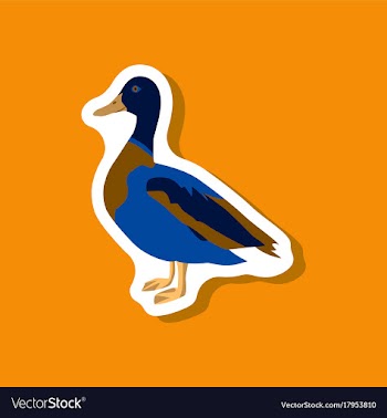 Wild duck paper sticker on stylish background vector image