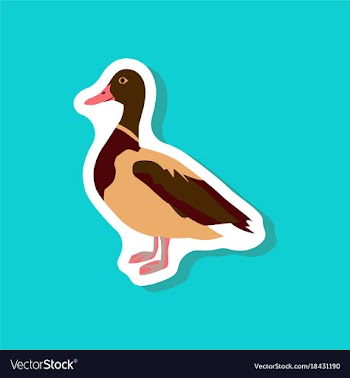 Wild duck paper sticker on stylish background vector image