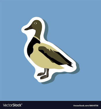 Wild duck paper sticker on stylish background vector image