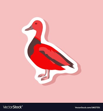 Wild duck paper sticker on stylish background vector image