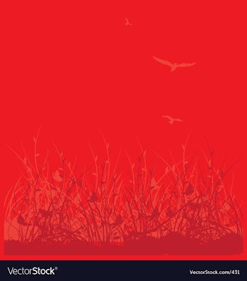 Wild flower garden vector image