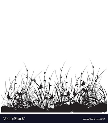 Wild flower garden vector image