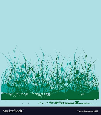 Wild flower garden vector image