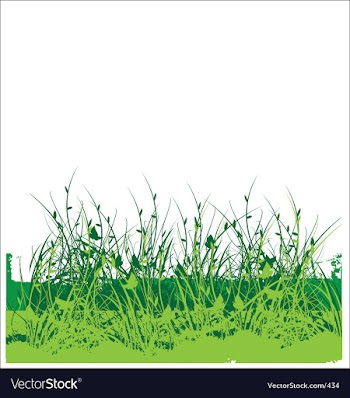 Wild flower garden vector image
