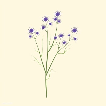 Wild Flower Vector Illustration | Free stock vector - 4283