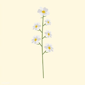 Wild Flower Vector Illustration | Free stock vector - 4293