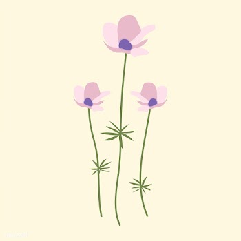 Wild Flower Vector Illustration | Free stock vector - 4305