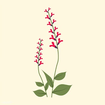 Wild Flower Vector Illustration | Free stock vector - 4309