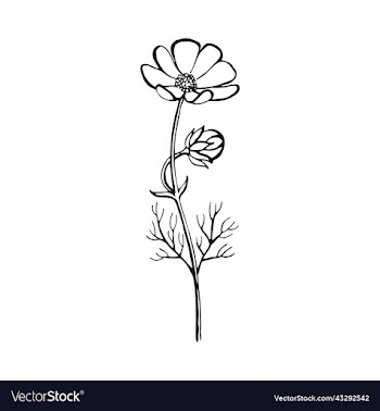wild flowers hand drawn floral elements