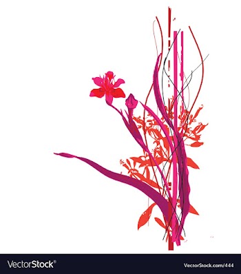 Wild flowers vector image