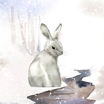 Wild gray rabbit in a winter wonderland paint.. | Free stock vector - 489503
