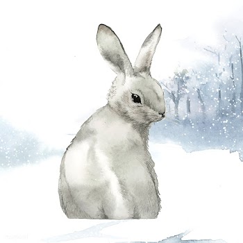 Wild gray rabbit in a winter wonderland paint.. | Free stock vector - 489542