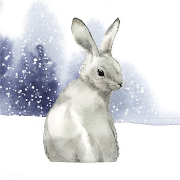 Wild gray rabbit in a winter wonderland paint.. | Free stock vector - 489607