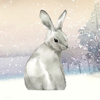 Wild gray rabbit in a winter wonderland paint.. | Free stock vector - 489665