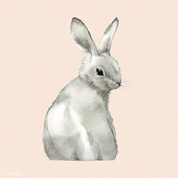 Wild gray rabbit painted by watercolor vector | Free stock vector - 489221