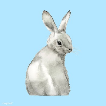 Wild gray rabbit painted by watercolor vector | Free stock vector - 489244