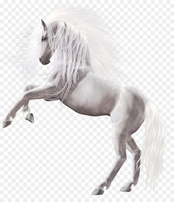 Wild horse Pony Clip art - Horses 