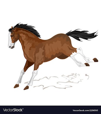 Wild horse vector image
