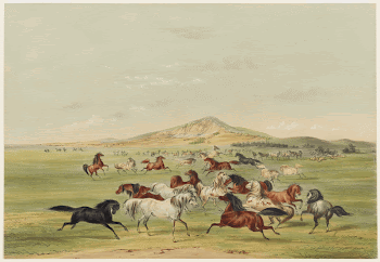 Wild Horses at Play (1844) | Free Photo - rawpixel
