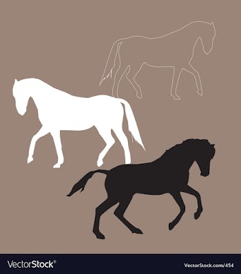 Wild horses vector image