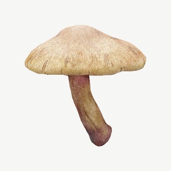 Wild mushroom, botanical collage element | Free PSD Illustration - rawpixel