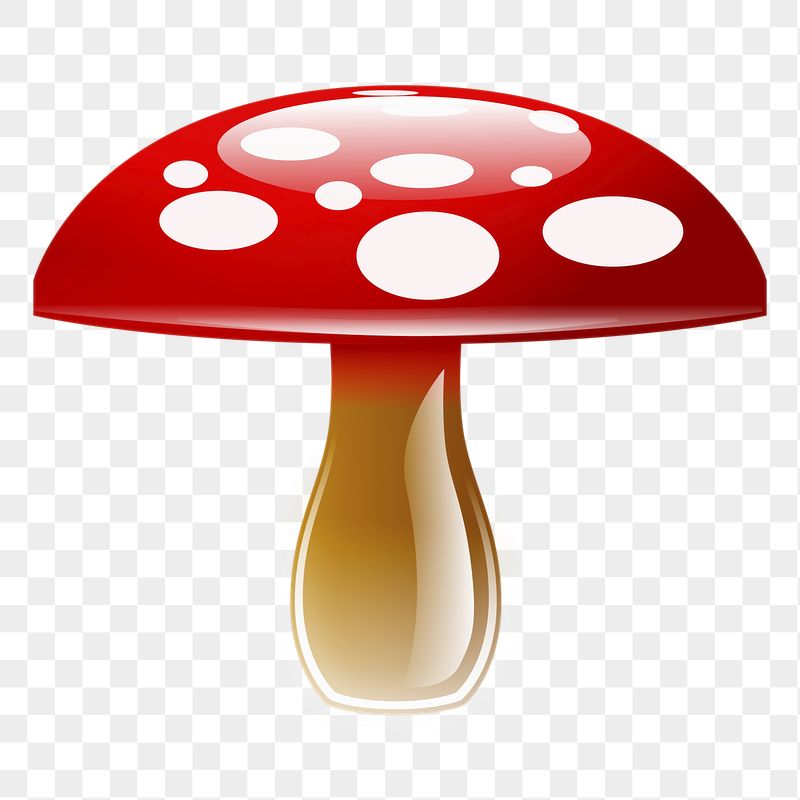 Wild mushroom png sticker, transparent | Free PNG - rawpixel