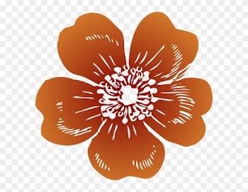 Wild Rose Vector