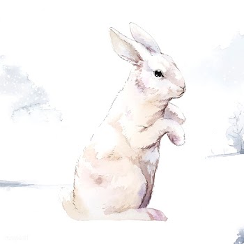 Wild white rabbit in a winter wonderland pain.. | Free stock vector - 489326