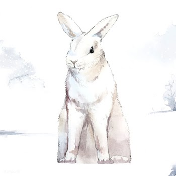 Wild white rabbit in a winter wonderland pain.. | Free stock vector - 489343