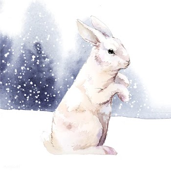 Wild white rabbit in a winter wonderland pain.. | Free stock vector - 489427