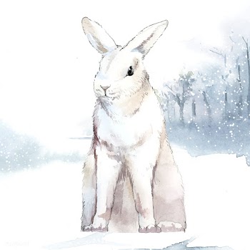 Wild white rabbit in a winter wonderland pain.. | Free stock vector - 489476