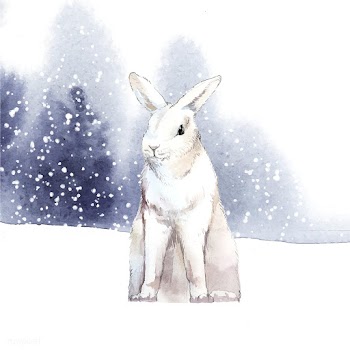 Wild white rabbit in a winter wonderland pain.. | Free stock vector - 489531