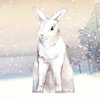 Wild white rabbit in a winter wonderland pain.. | Free stock vector - 489634