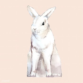 Wild white rabbit painted by watercolor vecto.. | Free stock vector - 489169