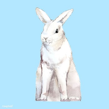 Wild white rabbit painted by watercolor vecto.. | Free stock vector - 489170