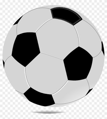 Wildcat And Ladycat Soccer Camp - Bola De Futebol Transparente