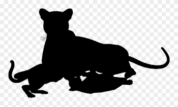 Wildcat Clipart Cheetah - Png Download (#2886149) - PinClipart